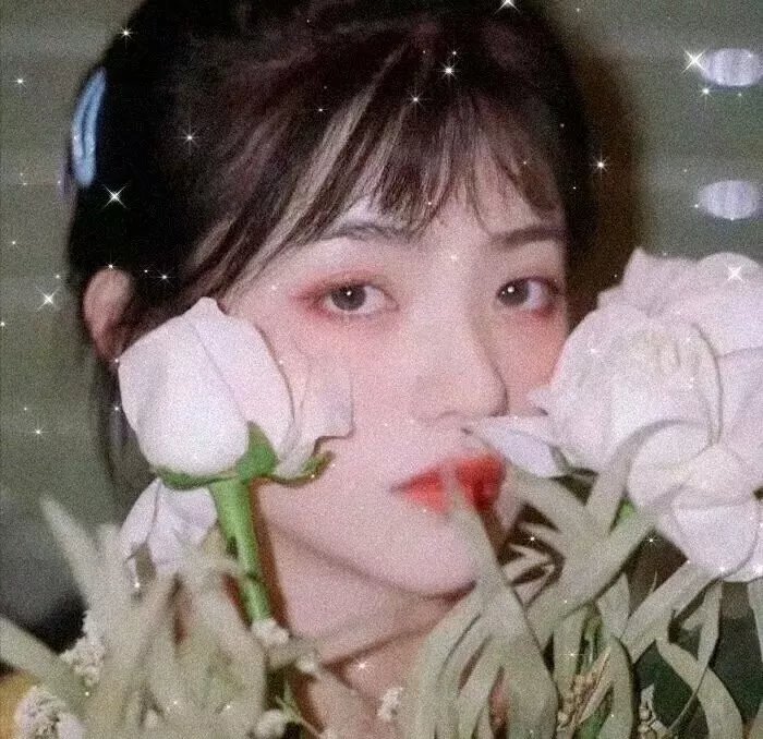 相爱相杀两姐妹