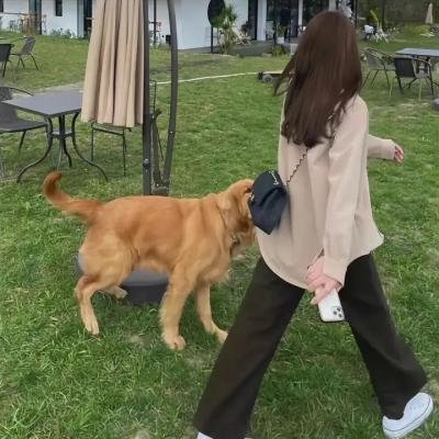 泰芮丝的寂爱人生